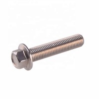 Bolts and nuts Stainless steel screw fasteners bolts and nuts