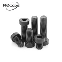 Alloy steel socket cap screws