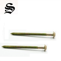 Head painted zinc plated cabinet wood screw torx drive modified truss head exterior screw